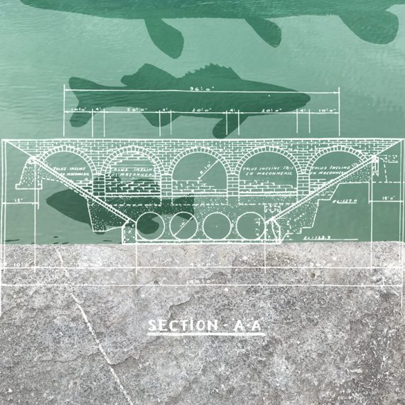 chenal-8-plans-deau