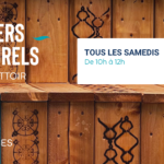 Activités culturelles au placo du canal