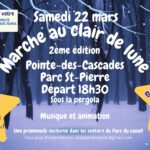 Marche au clair de lune dans le parc nature