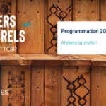 Activités culturelles au placo du canal